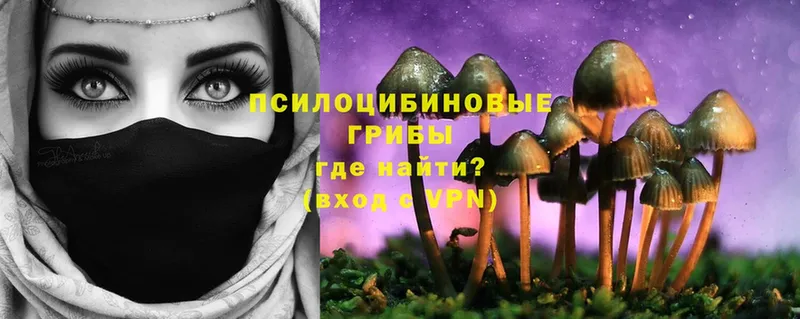 Галлюциногенные грибы Cubensis  где продают   даркнет Telegram  Гусь-Хрустальный 